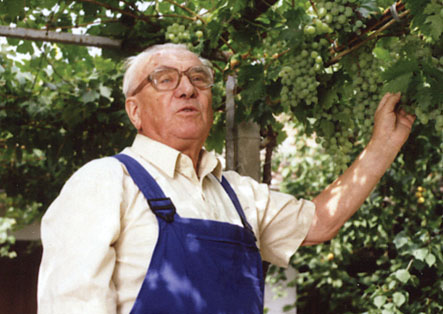 Konečný Antonín